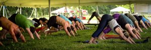 Several people in downward facing dog post on the grass
